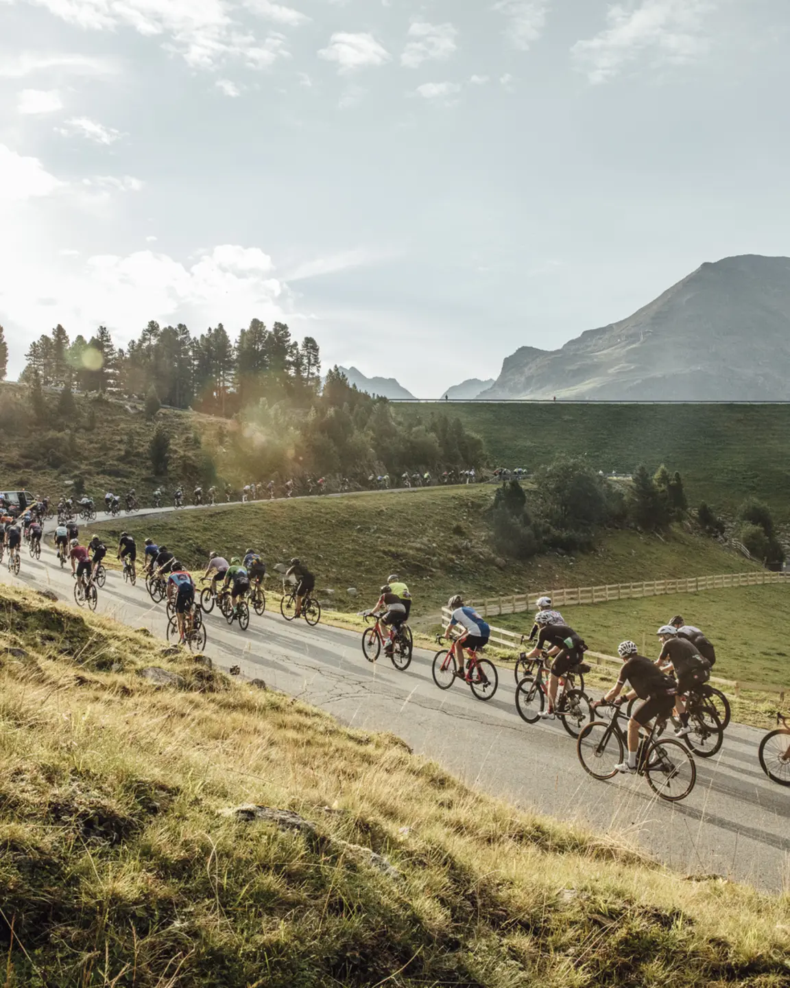 Rennradfahrer auf kurviger Bergstraße im Sonnenschein