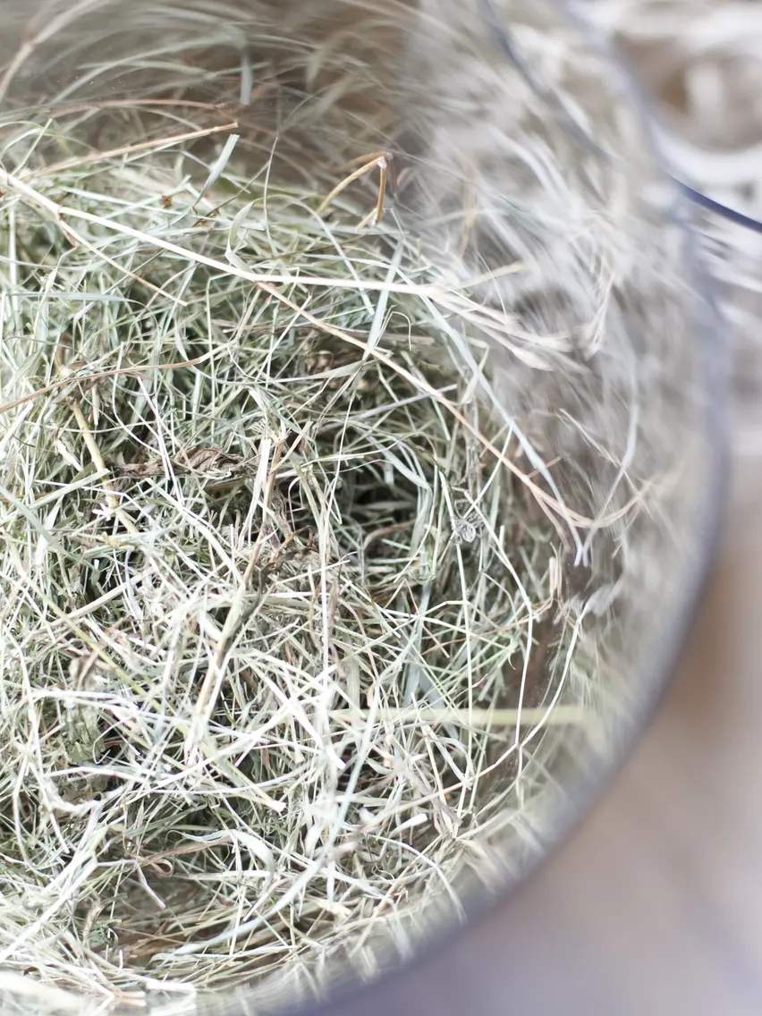 Macro photography of hay